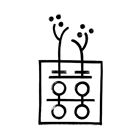 Double Happiness Health - Acupuncture San Francisco | Acupuncturist/Alternative Medicine photo