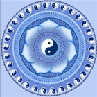 Thera Massage Therapy, PLLC photo