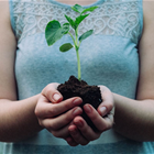 Growing Season Reproductive Wholeness photo