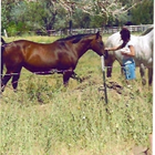 Back to Balance Massage Therapy by Kathleen NVMT 8093 photo