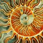 Hatha Healing photo