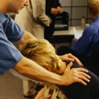 Relax 'N Go Massage photo