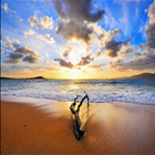 Driftwood Holistics photo