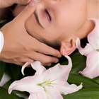 Massage & Facials By Brigid Anne Rohde photo
