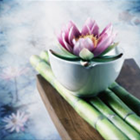 Helen Lau-Wong, LMT photo
